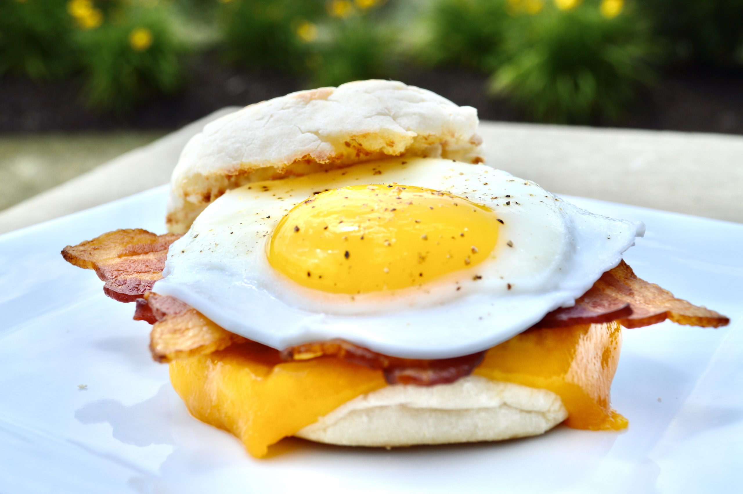 Bacon and Egg Sandwich